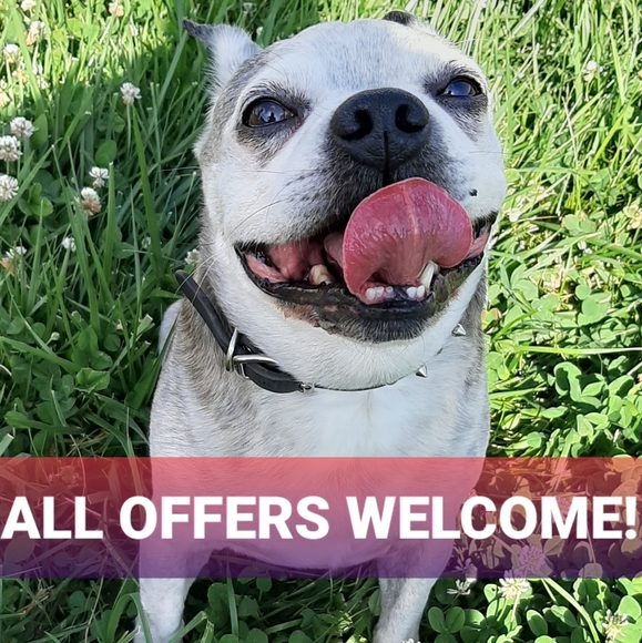 All Offers Welcome!! - Picture 1 of 1